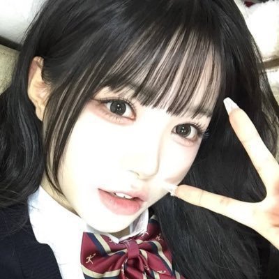 Py2D1's profile picture. 成人済