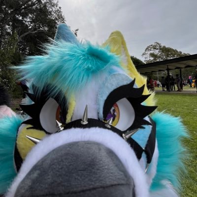 @society_wolfy profile
