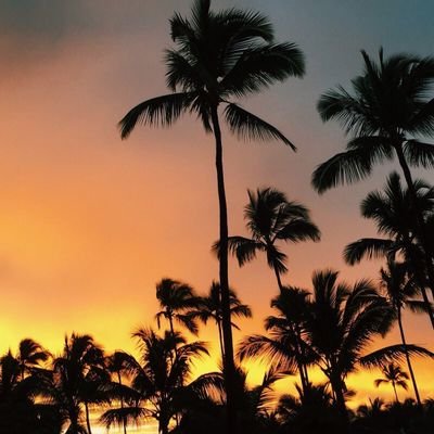 777new777's profile picture. ...