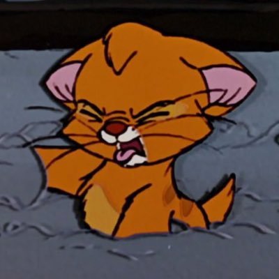 magistudies's profile picture. concurseira & tentando não ter um colapso mental