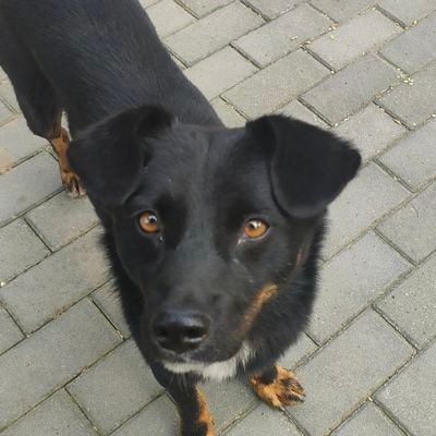 bayxid's profile picture. Digital wanderer.