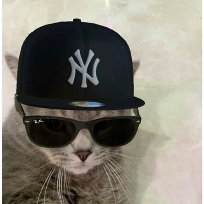 swift_god_'s profile picture. Programmer 💻 (React, ReactNative,CSS,HTML,GitHub, VUE etc.),web3(Air-drop hunter & promoter), 🔥