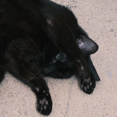 bennyfei's profile picture. 我的廢文小天地   認真帳號在IG