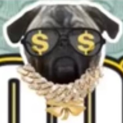 Puglifescr58943's profile picture. 10/10 gf for smarts more then looks