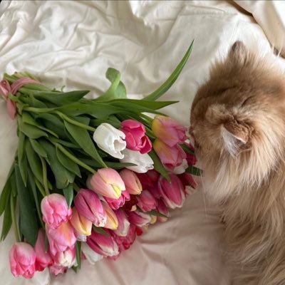 EhamA_14's profile picture. 