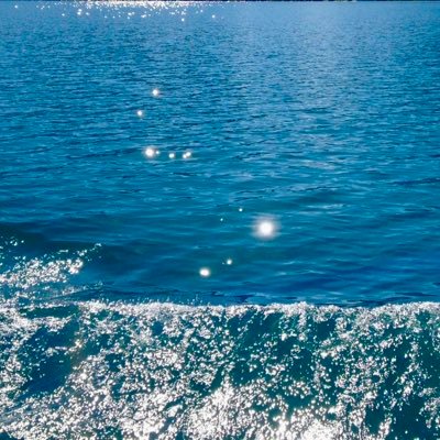 ElenaK12093984's profile picture. Superinteressant: Kraken. Und Physarum polycephalum,allgemein bekannt als BLOB. ❤️Beauceron. Spreche 🇩🇪🇬🇧 🇫🇷 🇪🇸 μαθαίνω 🇬🇷.