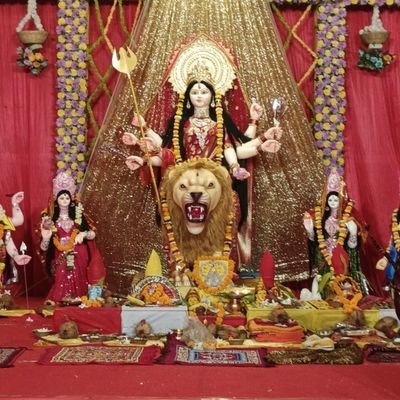 Neha270907's profile picture. 