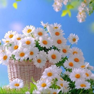 NjidekaGlo10753's profile picture. 