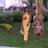 shaniellebritt1's profile image