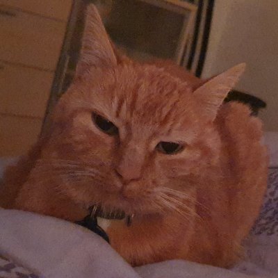 LUNI1217's profile picture. LUNI is the Legendary Cat Meme Coin on Solana — inspired by the eternal charm and chaos of internet cats.

CA: BrfWAjYfpWJeGDsWs1Vip2HfrSYdHCPqR87zuRoCxUhS