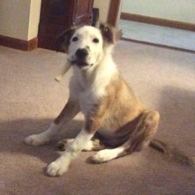 Flower51's profile picture. 