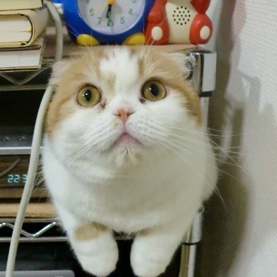 まりむぅさんのプロフィール画像