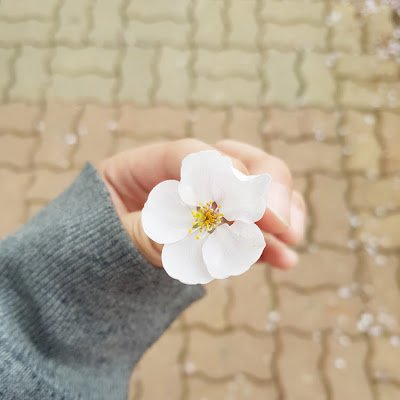 happy_7_77's profile picture. 