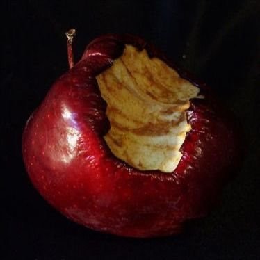 cake57521661011's profile picture. a little mix of everything