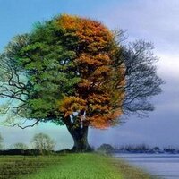 leyfunnur (@leyfunnur1) 's Twitter Profile
