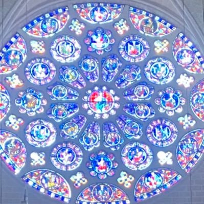 shima323002's profile picture. 