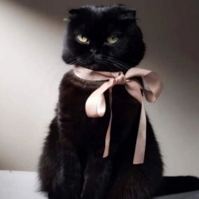 KafaLoves's profile picture. information and more 🍒