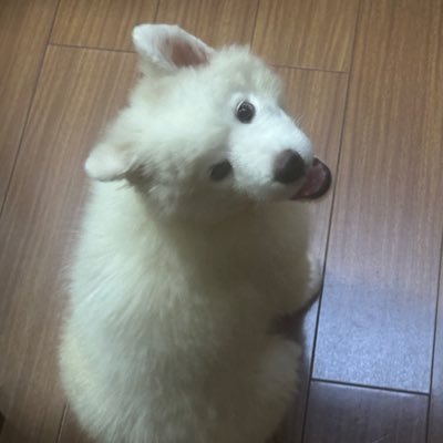 0xVa5t's profile picture. 