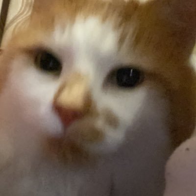 Mais107570's profile picture. 