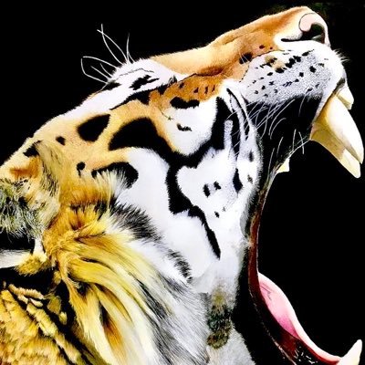 色鉛筆画 Eng sub] I drew the autumn thing with only 3 colored