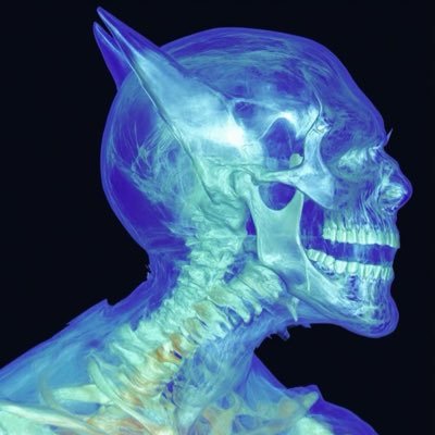Asmee6015's profile picture. Web3 yapper 🗣 | RTs louder than my bags