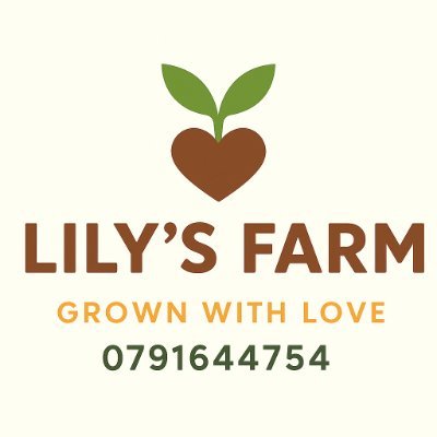 LilysFarmNYK's profile picture. We are a seedling farm that brings herbs, ornamentals and fruits closer to homes, schools and businesses.  Reach us on +254791644754.