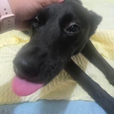 with_the_sunset's profile picture. 소개 쓰기도 귀찮음