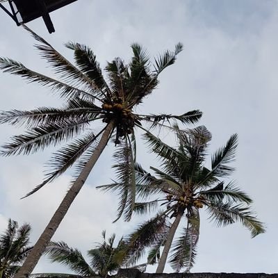 zulhan12152756's profile picture. Orangyanggabut