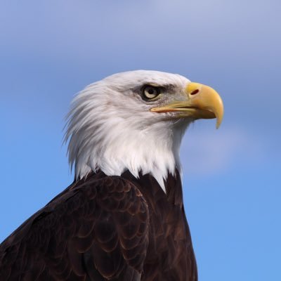 maru_2260's profile picture. 趣味で写真を始めました🔰動物多めな予感、、/無言フォロー失礼します🙏🏻