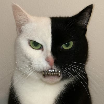 danieltonad's profile picture. Bots • Quant • ML