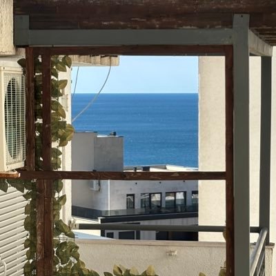 GrainSally66271's profile picture. 