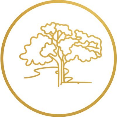 gt_financial's profile picture. Greentree Financial Group | Since 1999 | Advisory firm guiding high-growth companies with IPOs, uplistings & compliance on Nasdaq/NYSE.