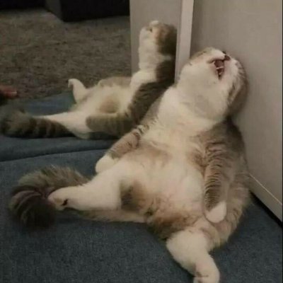 ktdlrpdirnsi's profile picture. kt wiz 영업함 내가 봄
250831💕