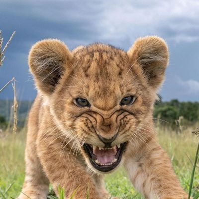 _KHOVEL's profile picture. Graphic Designer  | Sharing ideas, trends & inspiration ✨
💬 Conversations that spark growth
🚀 Making impact, one post at a time