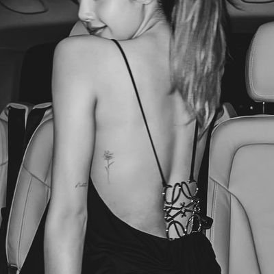 sinoffxre's profile picture. 