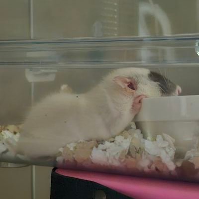 egg_mqc_mqf1n's profile picture. 