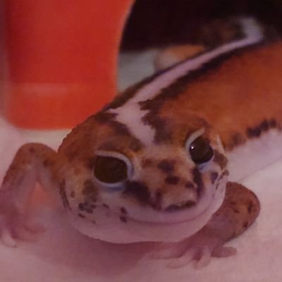 may0855's profile picture. 