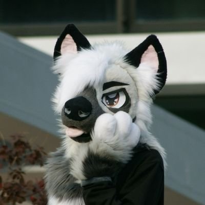 IsoMeier's profile picture. Furry🐺|German☢️|20🧁| Always looking for new people to hang with😎| Telegram: @IsukanAshes