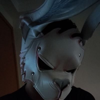 olunep's profile picture. 🦝 also known as Leo - Olune voice provider for Project Beatrice 🦝
🇧🇷 / 🏳️‍🌈 #Vocalsynth #Furry #puppy