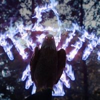 Meta-Pato (@ipedrocaetano) 's Twitter Profile