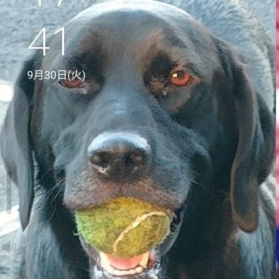 fujisannao's profile picture. 