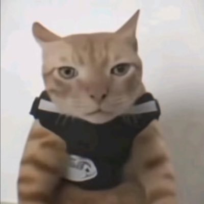 elgasiing's profile picture. when yh