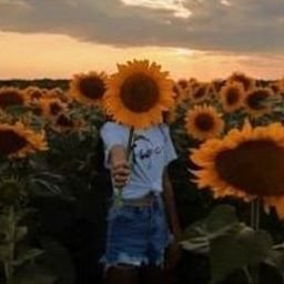 howe338067's profile picture. 