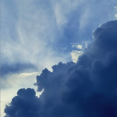 VINIさんのプロフィール画像