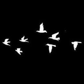 AlfaazKeParinde's profile picture. एक रोज़ निकल आया था मैं सपनों के पीछे..
मुद्दत हो चुकी है अपना घर नहीं देखा..
जिस दिन से चला हूँ मेरी मंज़िल पर नज़र है..
कितना लम्बा होगा ये सफ़र नहीं देखा..👣