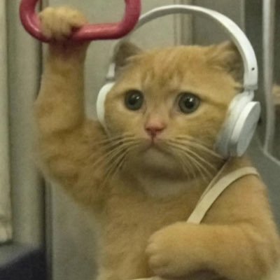 M5e2v's profile picture. 相互フォロー垢 フォロバ100 いいねぼっとです