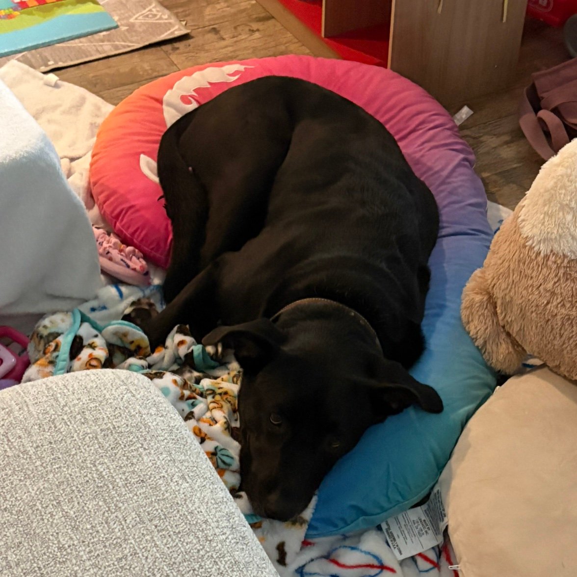 MikeFromBuff1's profile picture. trading (including options), crypto, Buffalo sports, have loved the places I call or have called home: Buffalo, Boston, Gainesville (Rock City), and HTX