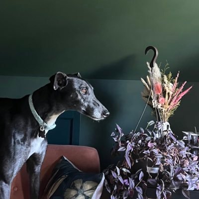 JohnyyKayy's profile picture. 