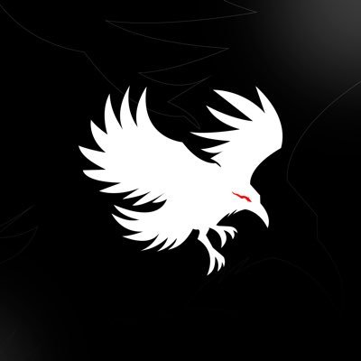 bratvaggbr's profile picture. Organização profissional de E-Sports                                                    ✉️ bratvaggbr@gmail.com