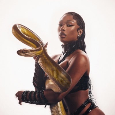 all things linkin park, Demi Lovato, Megan thee stallion and more.